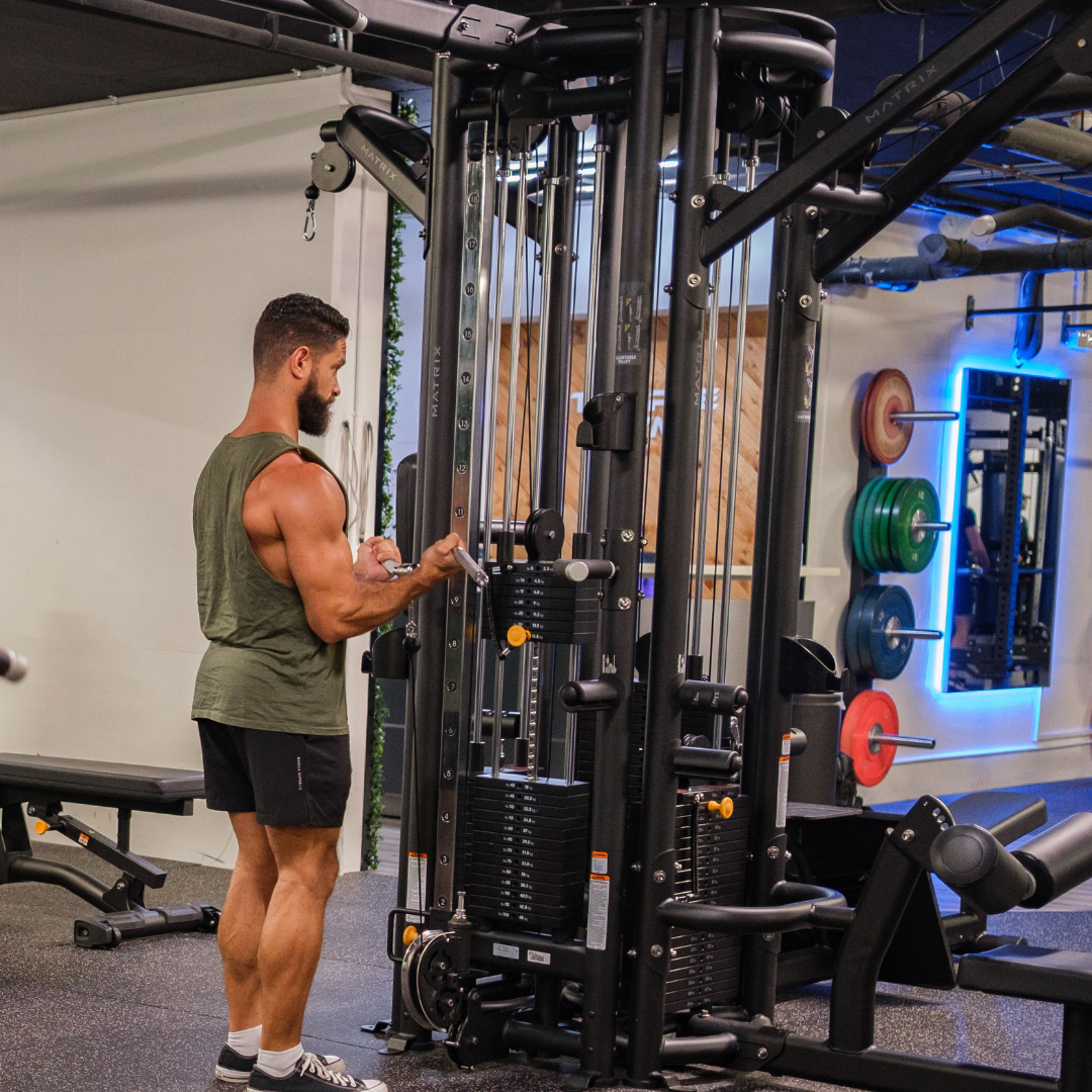 Arm Session: The Complete Arm Sculpting Sesh